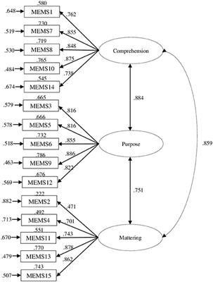 Spanish Validation of the Multidimensional Existential Meaning Scale: Which Dimension of Meaning in Life Is More Associated With Psychopathology in People With Mental Disorders?